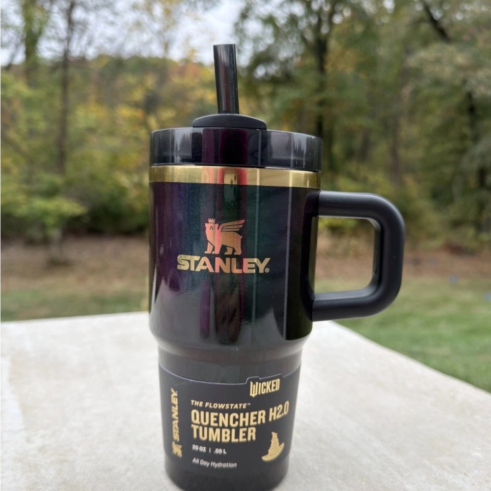 Stanley x Wicked 20oz FlowState Quencher Tumbler Elphaba For Good NEW
